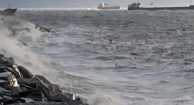 İstanbul'da fırtına etkili oldu!